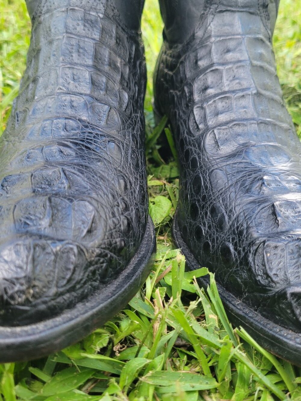Vintage Lucchese Men's HUGE Alligator Classic Cowboy Boots 12D